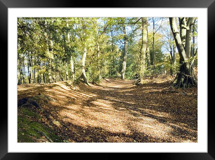 Autumn Chiltern Hills Oxfordshire Framed Mounted Print by Jim Hellier
