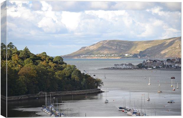 View from Conwy Castle Canvas Print by Shannon  Ward