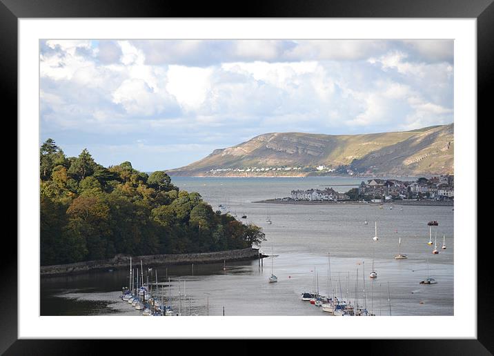 View from Conwy Castle Framed Mounted Print by Shannon  Ward
