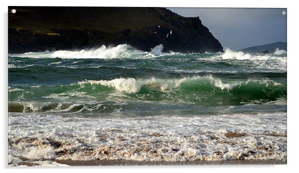 Clogher beach Acrylic by barbara walsh