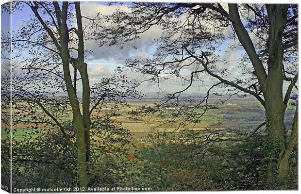 TREE SCREEN Canvas Print by malcolm fish