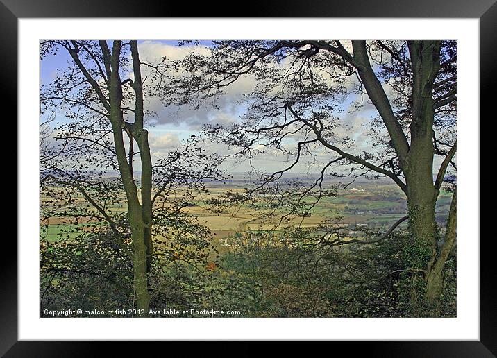 TREE SCREEN Framed Mounted Print by malcolm fish