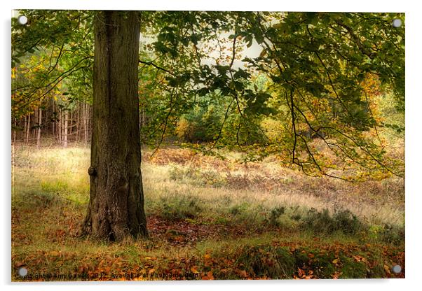Autumn Woodland Acrylic by Ann Garrett