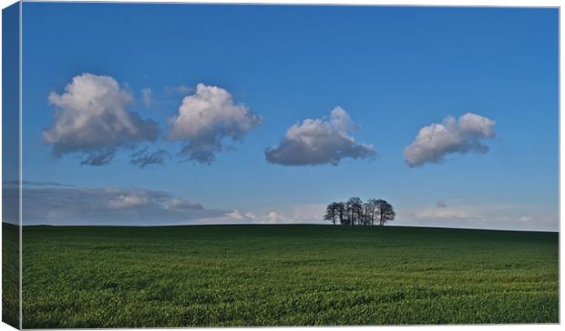 Cloud Train & Trees Canvas Print by mark humpage