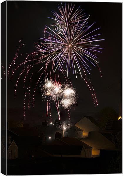 Fireworks 1 Canvas Print by Steve Purnell