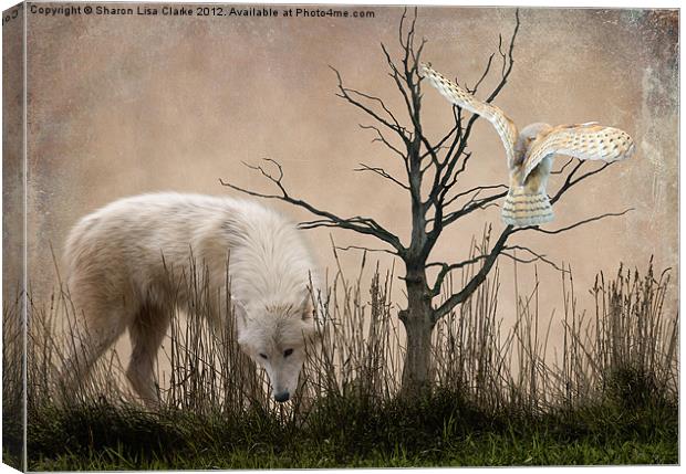 Woodland Wolf Canvas Print by Sharon Lisa Clarke