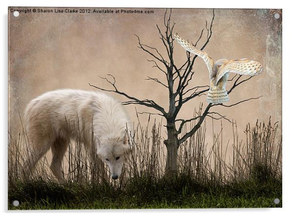 Woodland Wolf Acrylic by Sharon Lisa Clarke