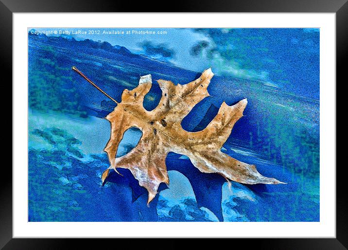 Summer Is Gone Framed Mounted Print by Betty LaRue