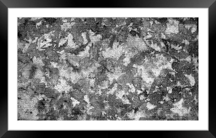 Autumn Leave Imprints on Concrete Framed Mounted Print by Hristo Assadourian