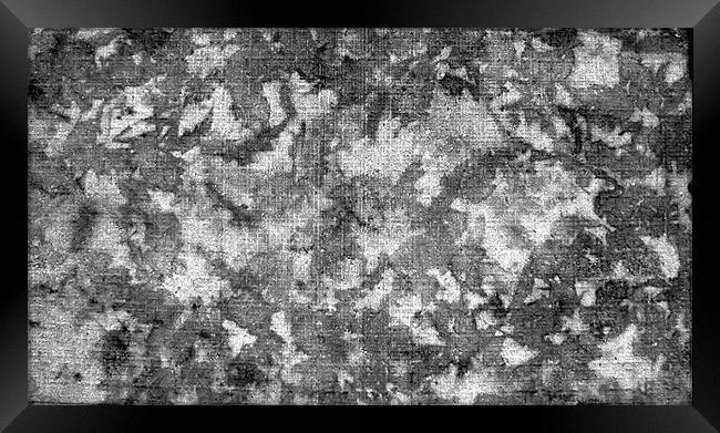 Autumn Leave Imprints on Concrete Framed Print by Hristo Assadourian