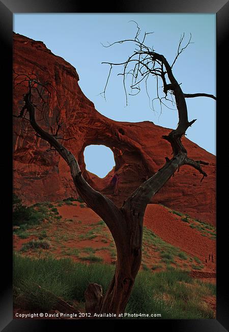 Ear of the Wind Framed Print by David Pringle