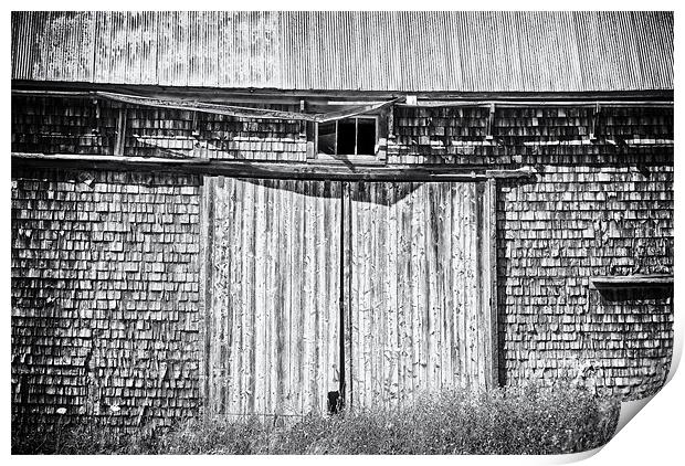 Old Barn Print by Mary Lane