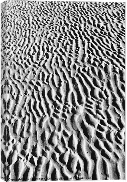 Sand Canvas Print by Dan Davidson