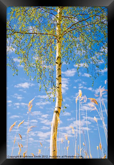 Birch tree in spring Framed Print by Kathleen Smith (kbhsphoto)