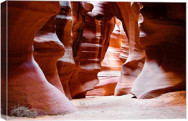Antelope Canyon Canvas Print by World Images
