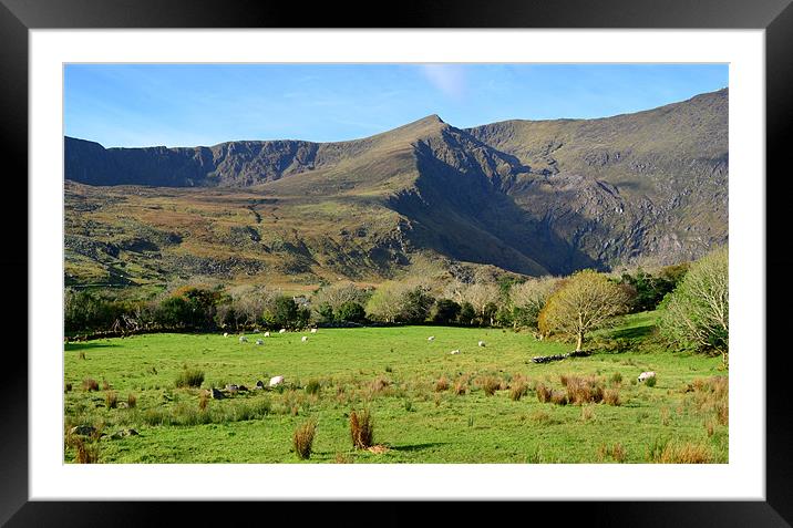 Cloghan Framed Mounted Print by barbara walsh