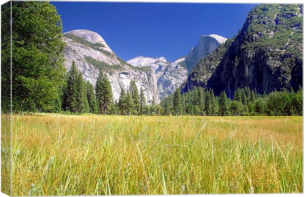 Tuolumne Meadows Canvas Print by World Images