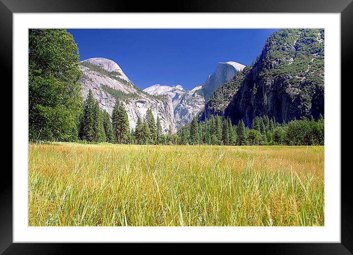 Tuolumne Meadows Framed Mounted Print by World Images