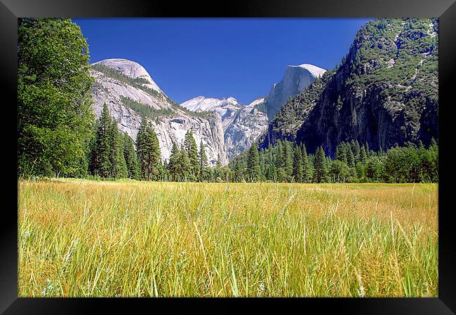 Tuolumne Meadows Framed Print by World Images