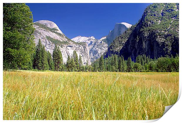 Tuolumne Meadows Print by World Images