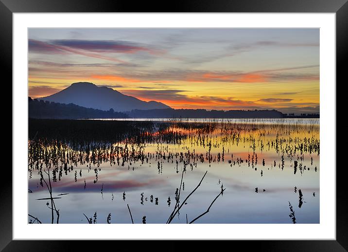 Orange reflections Framed Mounted Print by Guido Montañes