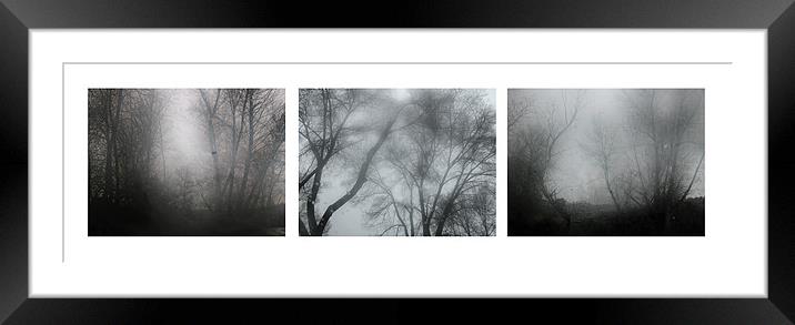 Storm trees II Framed Mounted Print by Guido Montañes