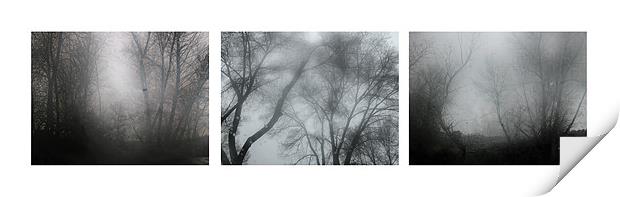 Storm trees II Print by Guido Montañes