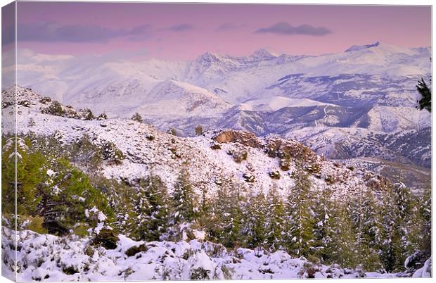 Sierra nevada at sunset Canvas Print by Guido Montañes