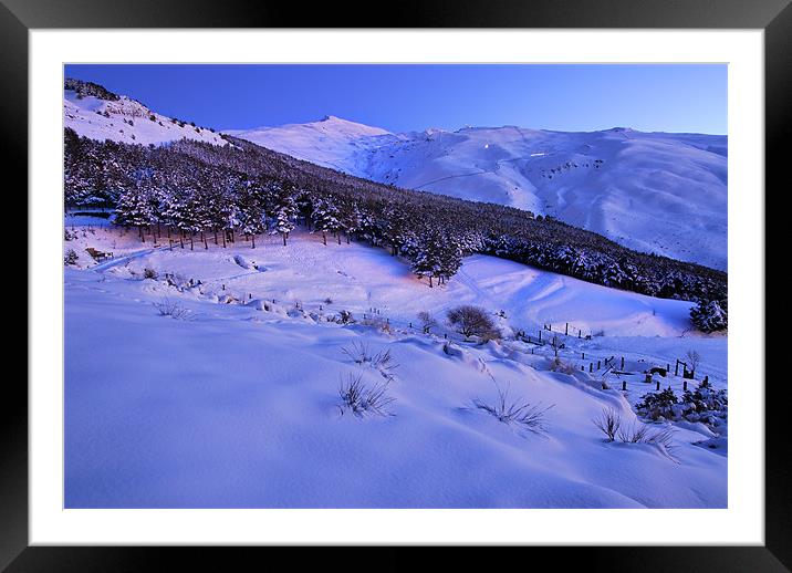 Sierra Nevada National Park Framed Mounted Print by Guido Montañes
