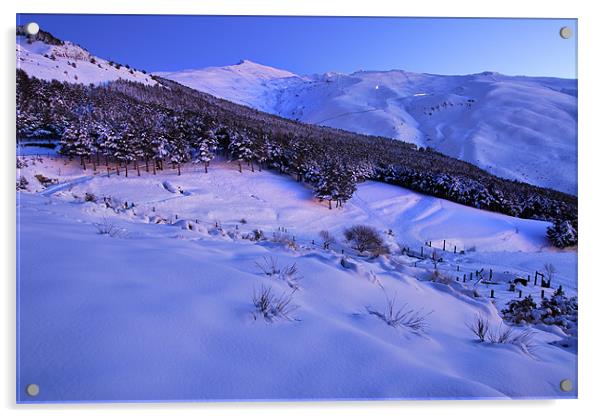 Sierra Nevada National Park Acrylic by Guido Montañes