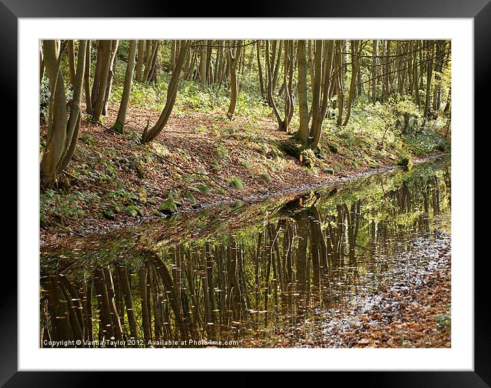 Cromford Canal, Derbyshire Framed Mounted Print by Vanna Taylor