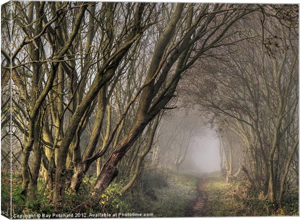 Cyclepath to Nowhere Canvas Print by Ray Pritchard