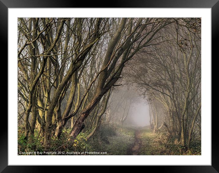 Cyclepath to Nowhere Framed Mounted Print by Ray Pritchard