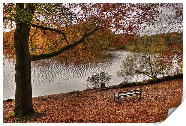 Knypersley Autumn View Print by Pam Sargeant