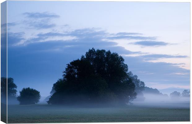 Misty marsh Canvas Print by Ian Middleton