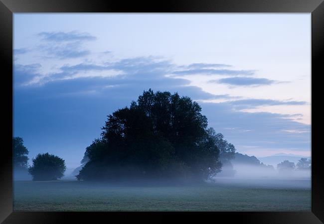 Misty marsh Framed Print by Ian Middleton