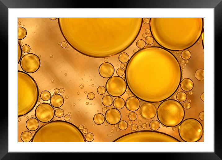 Golden Orbs Framed Mounted Print by Jed Pearson