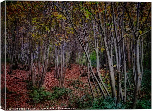 Autumn Woods Canvas Print by Nicola Clark