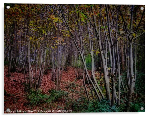 Autumn Woods Acrylic by Nicola Clark