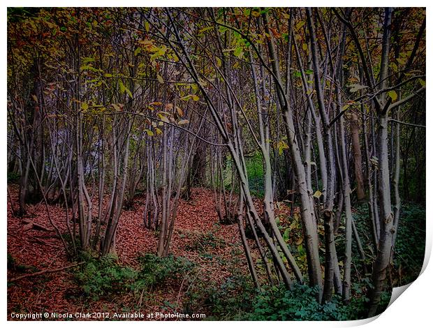 Autumn Woods Print by Nicola Clark