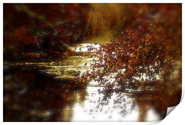 Golden Autumn Print by jane dickie