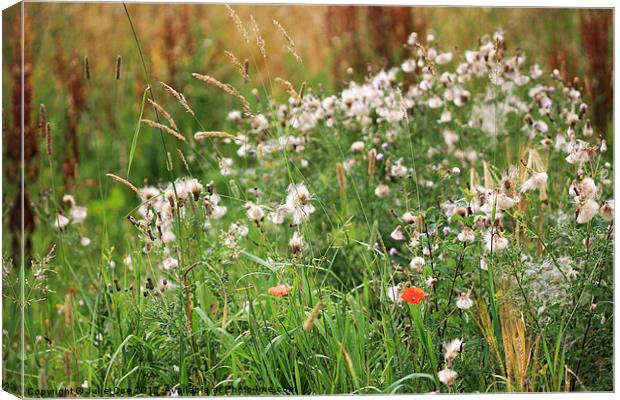 Edge Of A Field Canvas Print by Julie Coe