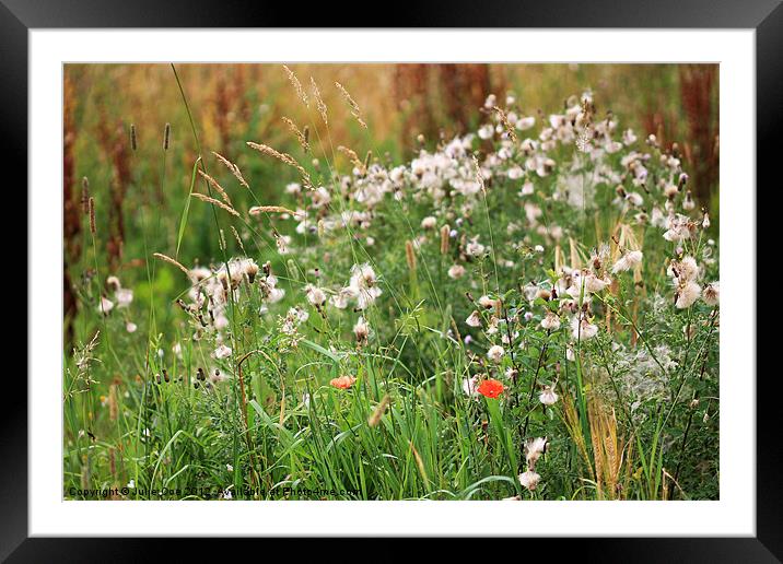 Edge Of A Field Framed Mounted Print by Julie Coe
