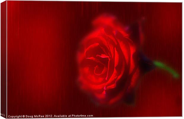 A Red rose Canvas Print by Doug McRae