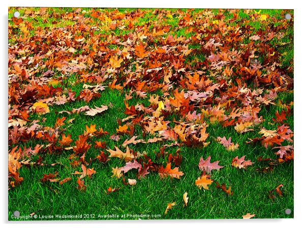 Oak leaves on the grass in autumn Acrylic by Louise Heusinkveld