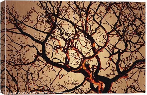Branching Out Canvas Print by Julie Coe