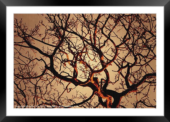 Branching Out Framed Mounted Print by Julie Coe