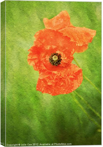 Poppy Paint Canvas Print by Julie Coe