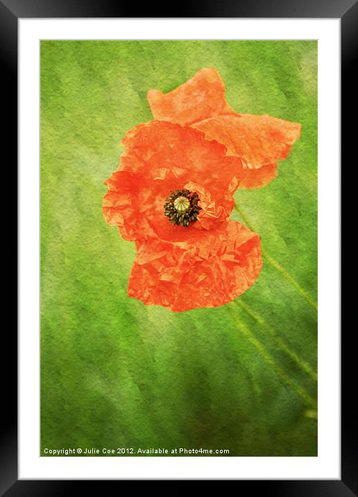 Poppy Paint Framed Mounted Print by Julie Coe