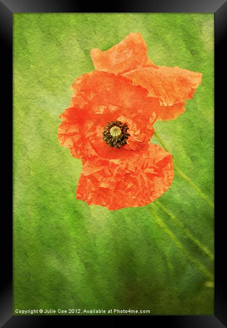 Poppy Paint Framed Print by Julie Coe